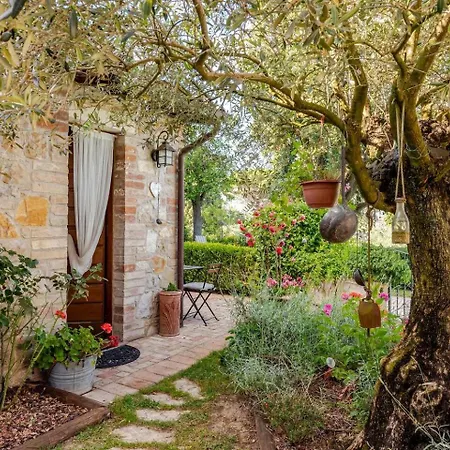 Historic Village With Pool Near Holiday home Todi